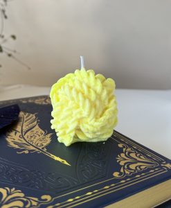 Soy was hand-poured candle